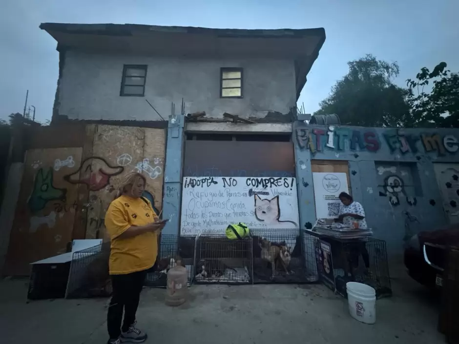 Manifestación contra agresor que con machete golpeaba a perritos