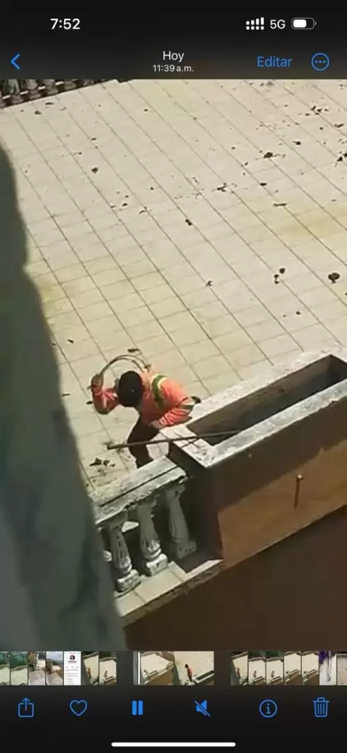 Manifestación contra agresor que con machete golpeaba a perritos