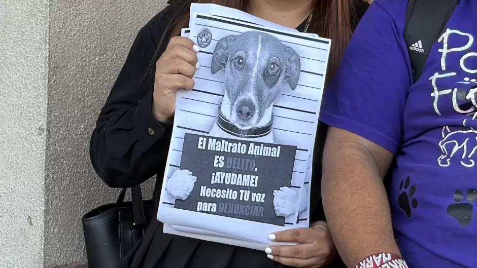 Manifestación contra agresor que con machete golpeaba a perritos