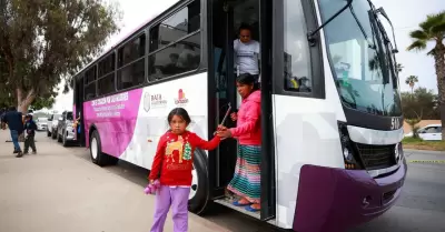 Transporte Violeta en Playas de Rosarito