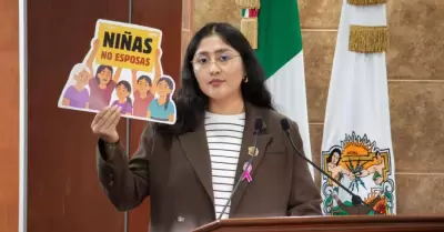 Diputada Michel Snchez Allende