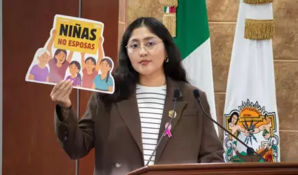 Diputada Michel Snchez Allende