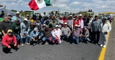 Productores agrcolas