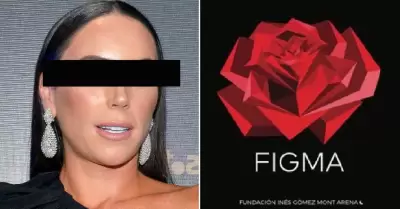 Fundacin de Ins Gmez Mont Arena