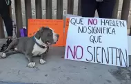 VIDEO: Decisin de juez a favor de agresor desata ira ciudadana; protestan para exigir crcel por brutal maltrato animal