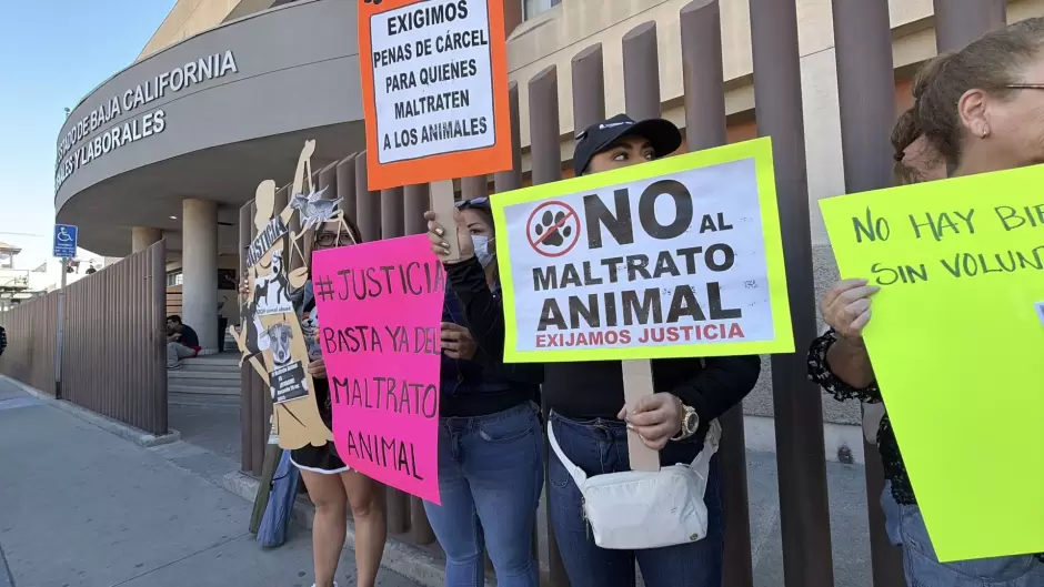 Rescatistas y activistas por los animales