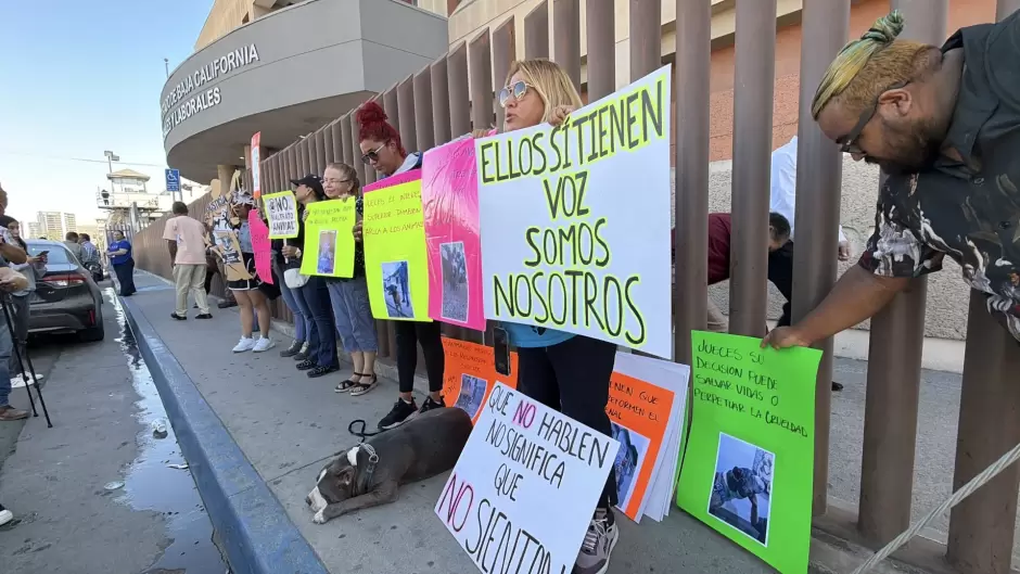 Rescatistas y activistas por los animales