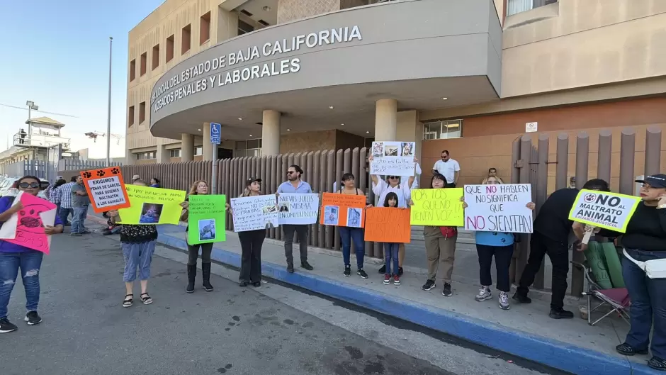 Rescatistas y activistas por los animales