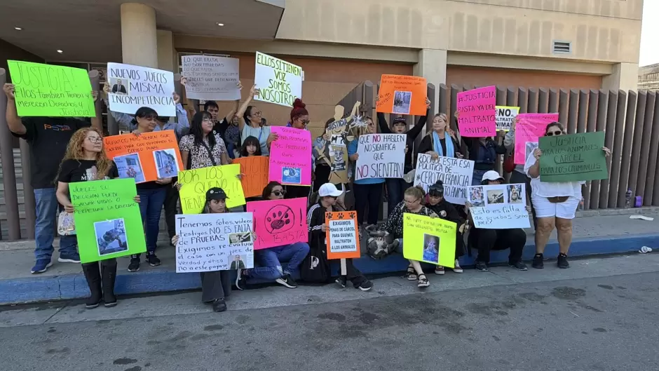 Rescatistas y activistas por los animales