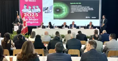 Consulta Estatal sobre el T-MEC