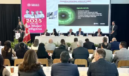 Consulta Estatal sobre el T-MEC