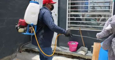 Abordaje transversal de la rickettsia a Rancho Escondido