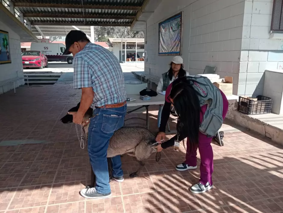 Abordaje transversal de la rickettsia a Rancho Escondido