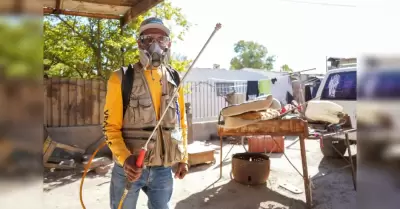 Programa de Vectores