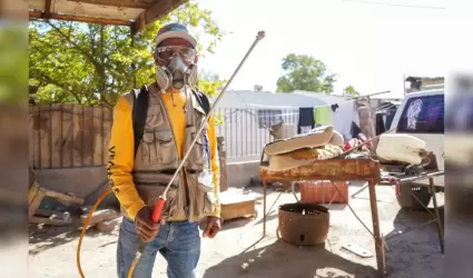 Programa de Vectores