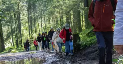 Nacin Verde en Tijuana
