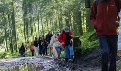 Nacin Verde en Tijuana