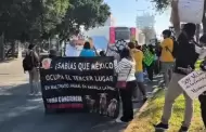 VIDEO: Con marcha en Tijuana exige a jueces sanciones ms severas por crueldad animal