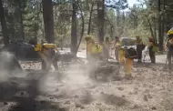 Finaliza Proteccin Civil Baja California curso contra incendios forestales