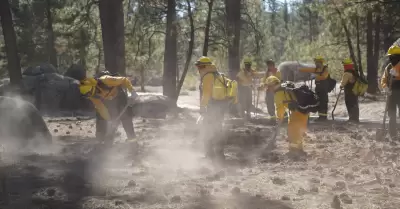 Curso contra incendios forestales