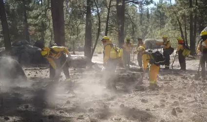 Curso contra incendios forestales