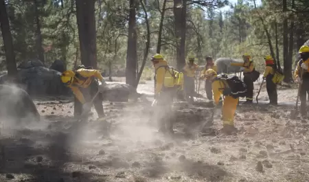 Curso contra incendios forestales