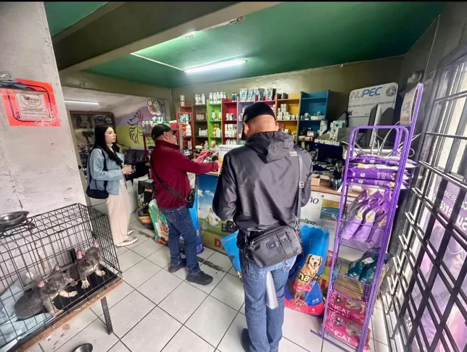 Rescatan a dos caninos que intentaban ser comercializados