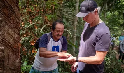 Newsom impulsa accin climtica histrica en la cumbre mundial COP30 en Brasil