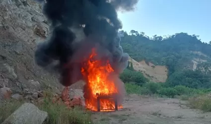Incinera ms de una tonelada y media de clorhidrato de cocana