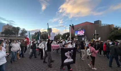Marcha de la Generacin Z
