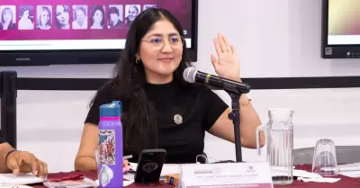 Diputada Michel Snchez