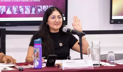 Diputada Michel Snchez