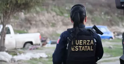 Fuerza Estatal de Baja California