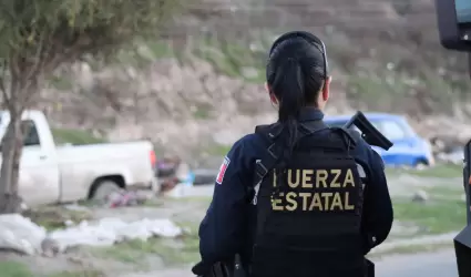 Fuerza Estatal de Baja California