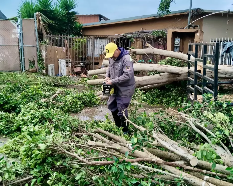 Monitorean desarenadores y zonas de riesgo tras lluvias registradas en Tijuana