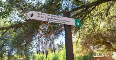 Inaugura Turismo nuevo sendero interpretativo en comunidad Kumiai