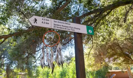 Inaugura Turismo nuevo sendero interpretativo en comunidad Kumiai