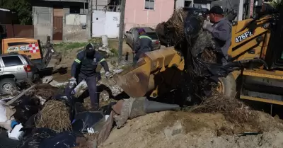 Mejoramiento urbano a travs de 'Tijuana: Ciudad Limpia'