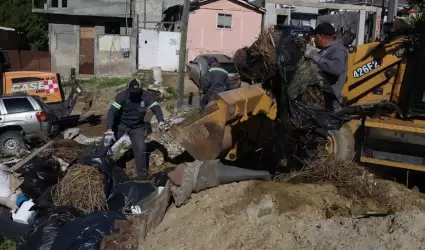 Mejoramiento urbano a travs de 'Tijuana: Ciudad Limpia'