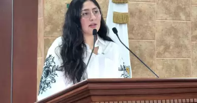 Diputada Michel Snchez Allende