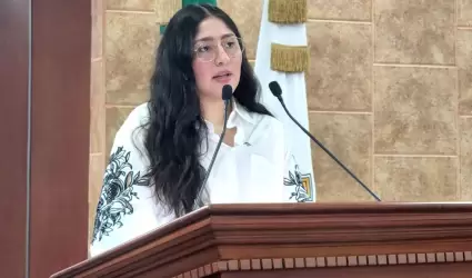 Diputada Michel Snchez Allende