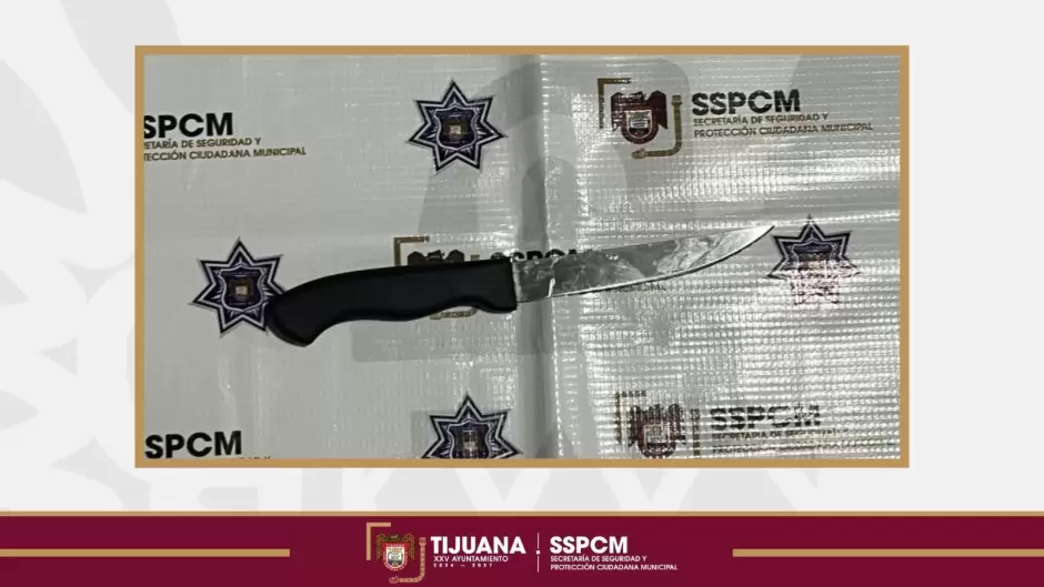 Detenidos tras ria en la colonia Campos