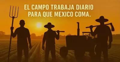 Productores del campo