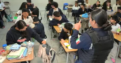 Seguridad de la comunidad estudiantil