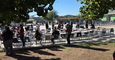 Jornada de esterilizacin canina y felina