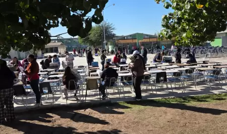 Jornada de esterilizacin canina y felina