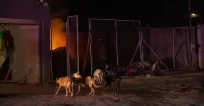 Incendio de vivienda en la colonia Granjas Familiares del Matamoros