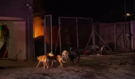 Incendio de vivienda en la colonia Granjas Familiares del Matamoros