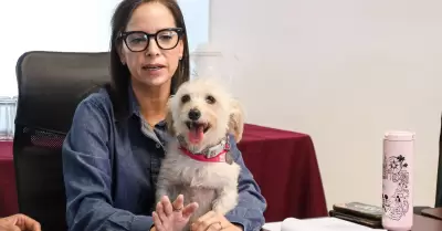 M�nica Vega Aguirre