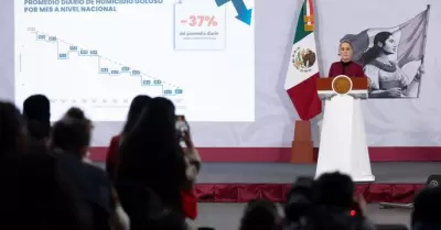 Homicidios dolosos disminuyen